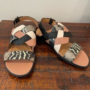 Vionic Snake‎ Skin Black and Tan Sandal Size 6.5
